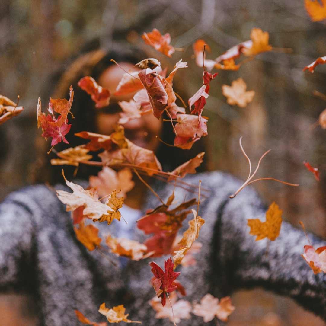 Symbolbild Der Herbst: Die Saison der Erneuerung